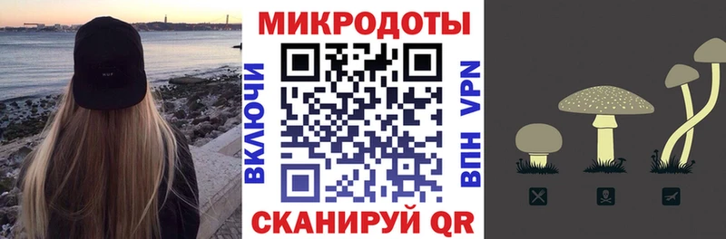 Псилоцибиновые грибы Psilocybe  Волжский 