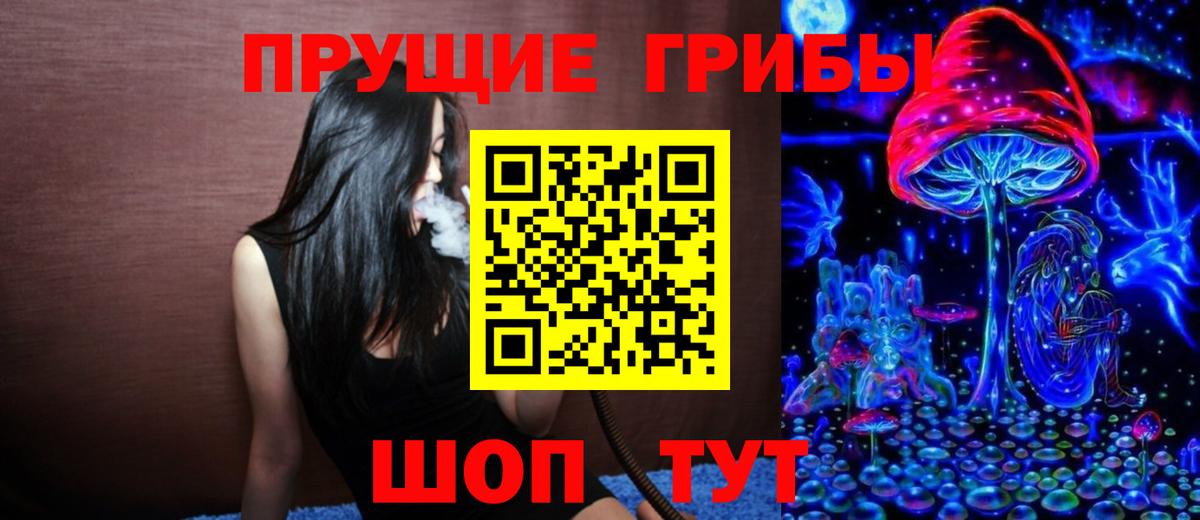 Волжский  Галлюциногенные грибы прущие грибы  Вход с VPN 