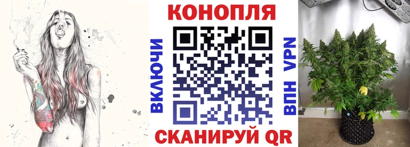 наркотики  Волжский  Канабис индика 